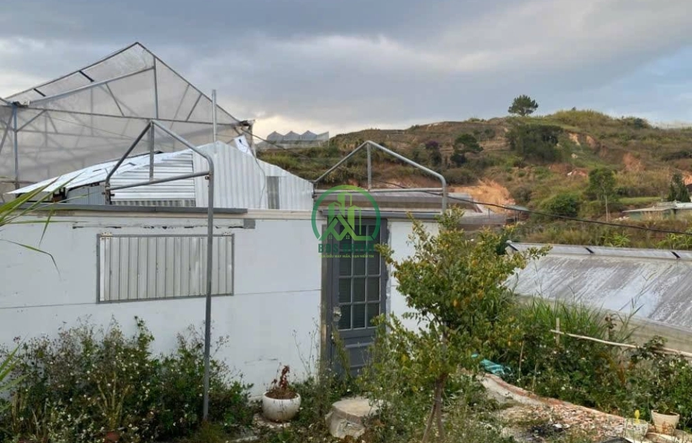 🏡 CẦN BÁN ĐẤT ĐƯỜNG Ô TÔ KIM THẠCH, P. LANGBIANG - ĐÀ LẠT