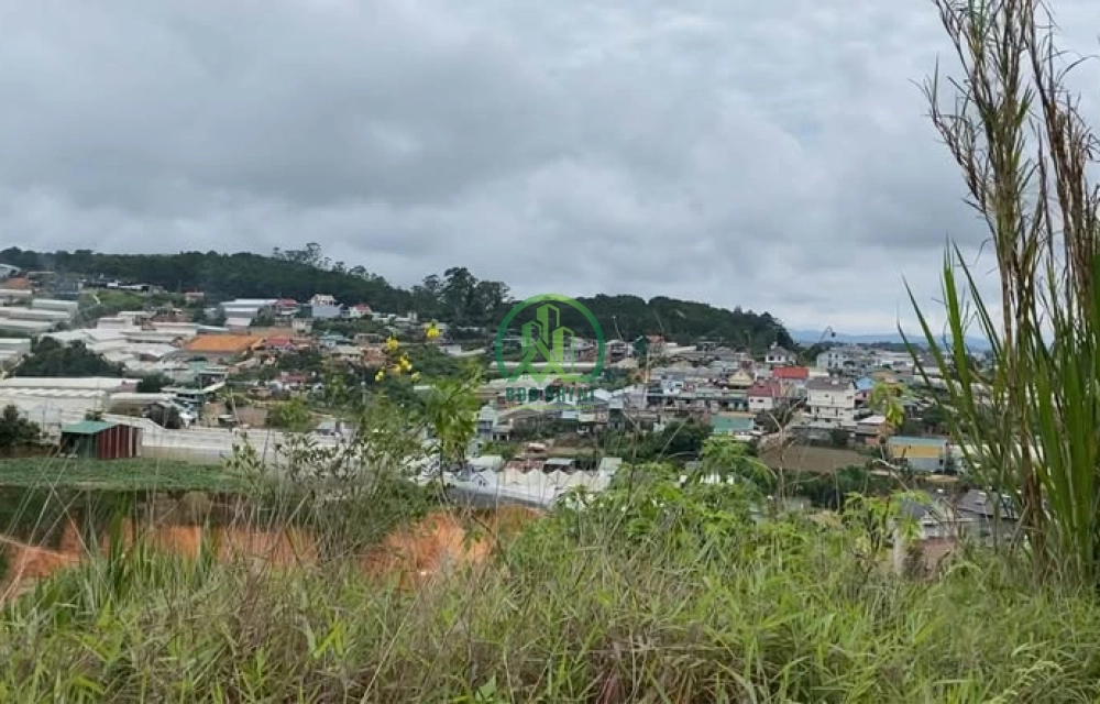 ✨ CẦN BÁN ĐẤT ĐƯỜNG Y DINH, P. CAM LY - ĐÀ LẠT