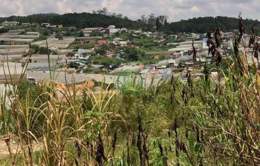 ✨ CẦN BÁN ĐẤT ĐƯỜNG Y DINH, P. CAM LY - ĐÀ LẠT