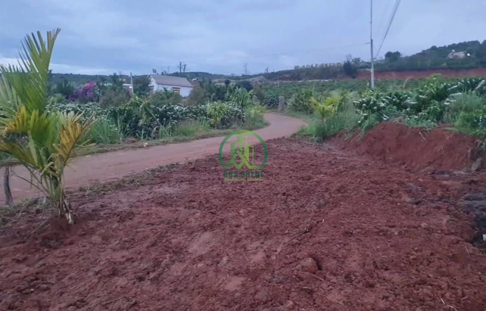 🌟 CẦN BÁN ĐẤT MẶT ĐƯỜNG TẠI ĐAN PHƯỢNG - LÂM HÀ