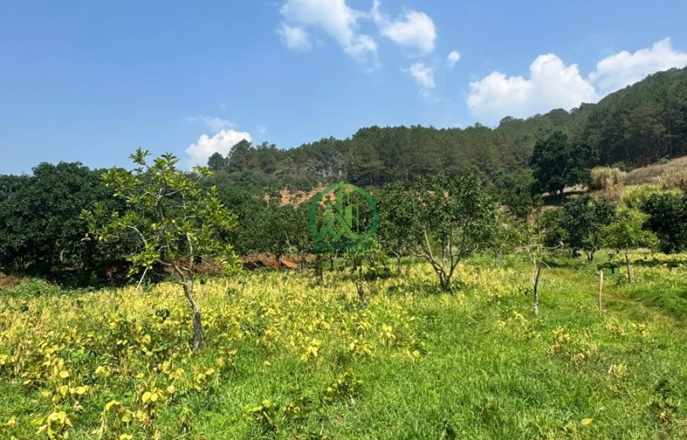 ✨ CẦN BÁN 3800 M2 ĐẤT TẠI MÊ LINH, LÂM HÀ