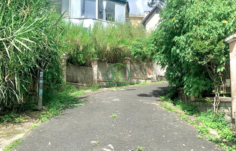 LÔ ĐẤT ĐẸP XÂY BIỆT THỰ ĐƯỜNG NGUYỄN TRUNG TRỰC- ĐÀ LẠT 