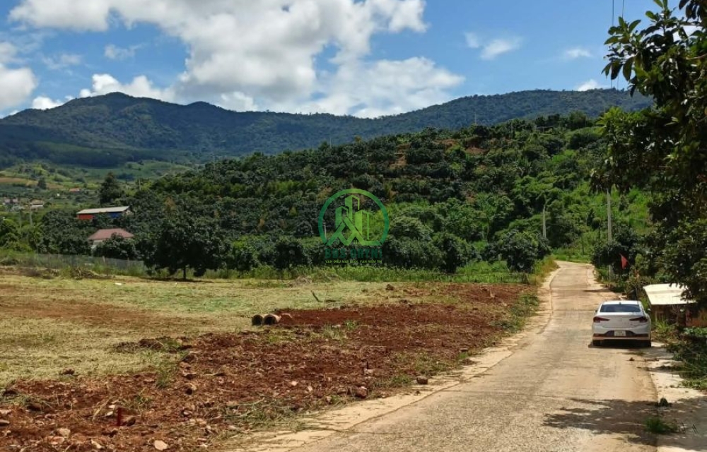 🏡 CẦN BÁN 7 LÔ ĐẤT TẠI NAM BAN, LÂM HÀ, LÂM ĐỒNG