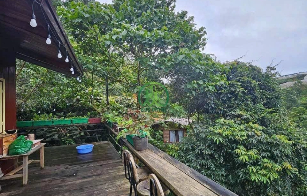 CẦN CHO THUÊ 2 CĂN HOMESTAY GỖ TRẠI MÁT, P, XUÂN TRƯỜNG - ĐÀ LẠT (P11)
