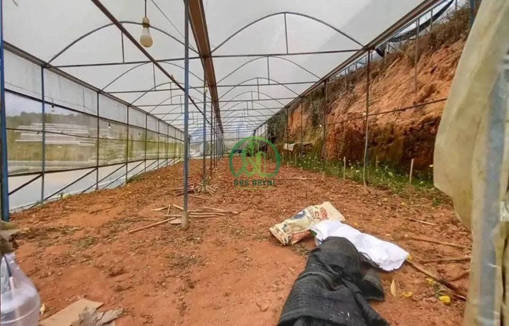 CẦN BÁN HƠN 1.300 M2 ĐẤT ĐƯỜNG HUỲNH TẤN PHÁT, P. XUÂN TRƯỜNG - ĐÀ LẠT (P11)