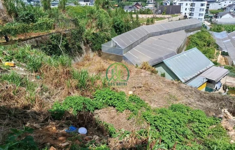 CẦN BÁN 900 M2 ĐẤT LÔ GÓC ĐƯỜNG ĐỐNG ĐA, P. XUÂN HƯƠNG - ĐÀ LẠT
