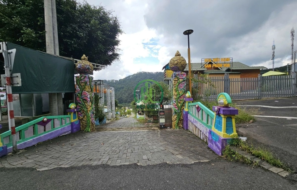 🌤 CẦN BÁN ĐẤT ĐÈO MIMOSA, P. XUÂN HƯƠNG - ĐÀ LẠT