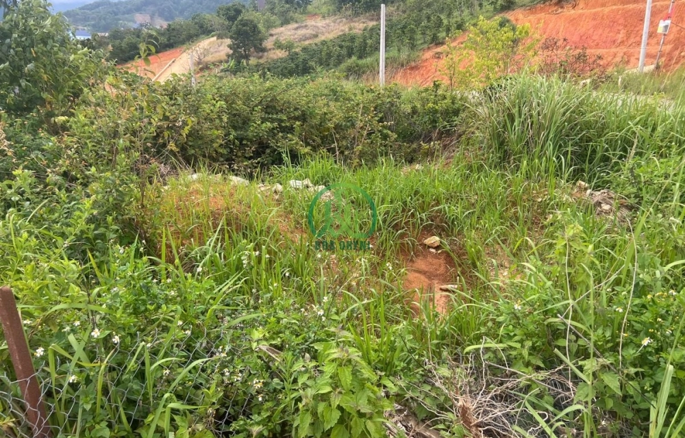 💥 CẦN BÁN LÔ ĐẤT ĐẸP MẶT TIỀN ĐẠ SAR - LẠC DƯƠNG