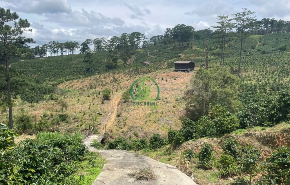 🌟 CẦN BÁN NHÀ ĐẤT XUÂN THỌ, P. XUÂN TRƯỜNG - ĐÀ LẠT