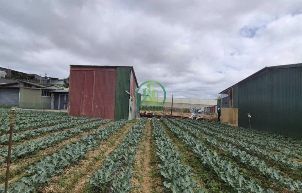 🌟 CẦN BÁN LÔ ĐẤT ĐƯỜNG AN TÔN, P. CAM LY - ĐÀ LẠT