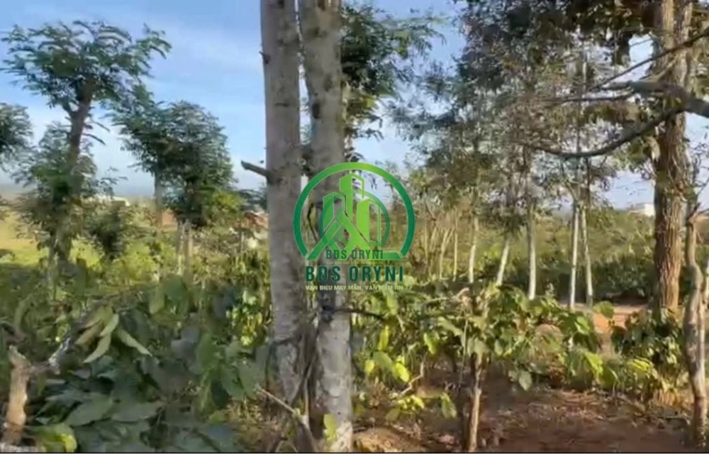 💥 CẦN BÁN HƠN 1200 M2 ĐẤT NINH GIA VIEW HỒ ĐẠI NINH TẠI ĐỨC TRỌNG - LÂM ĐỒNG