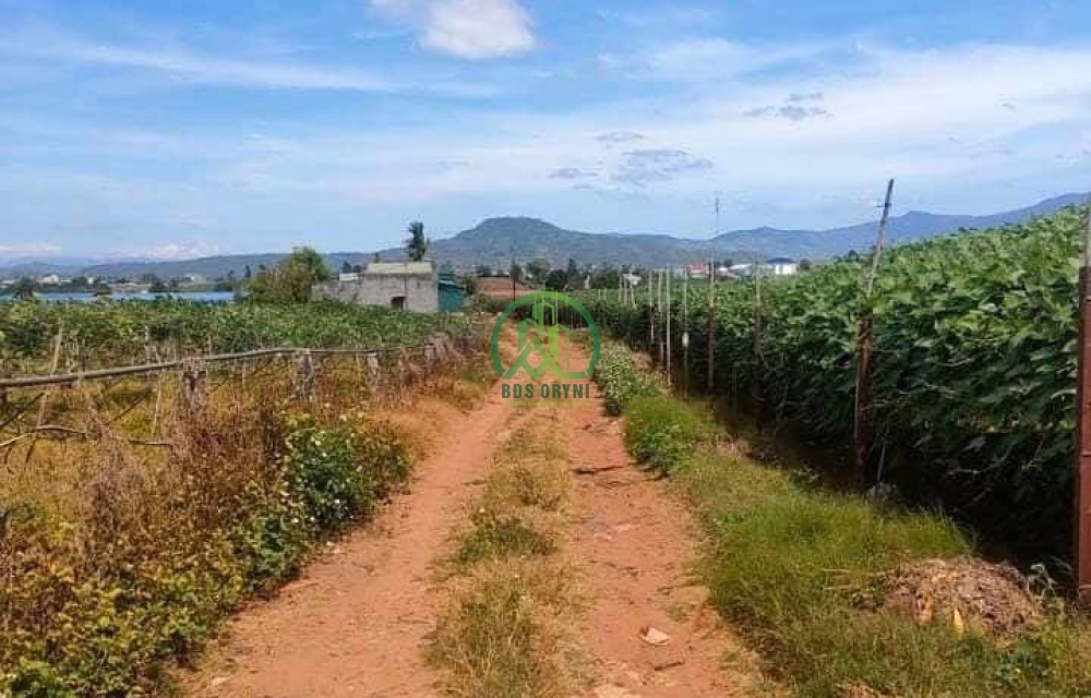 CẦN BÁN ĐẤT THỊ TRẤN LIÊN NGHĨA, ĐỨC TRỌNG, LÂM ĐỒNG