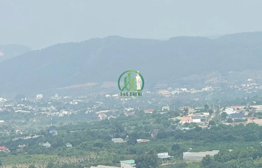 💥 CẦN BÁN 4 SÀO ĐẤT TẠI ĐÔNG THANH, NAM BAN - LÂM HÀ