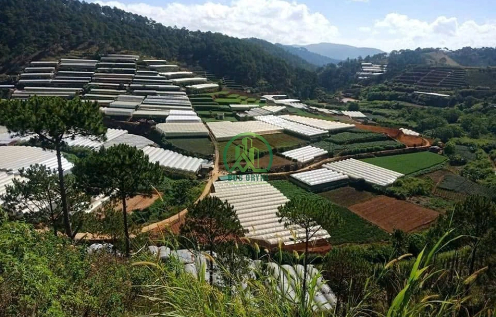 🌤 CẦN BÁN LÔ ĐẤT TẠI XUÂN THỌ, P. XUÂN TRƯỜNG - ĐÀ LẠT