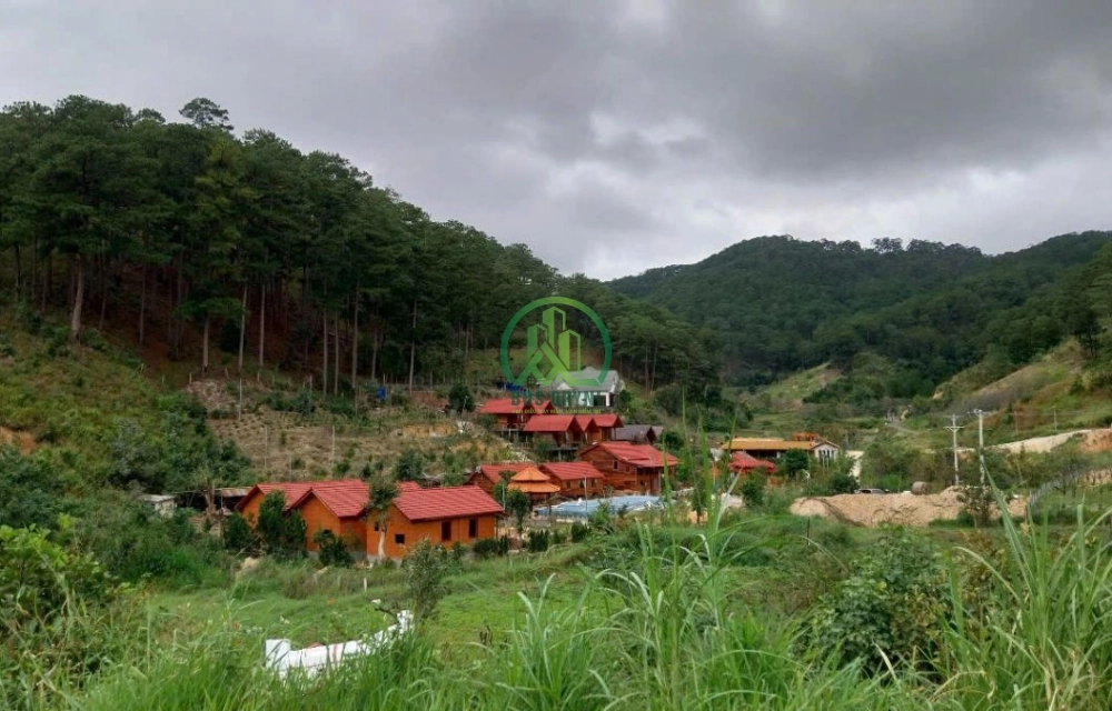 🌟 CẦN BÁN ĐẤT 2 MẶT TIỀN TẠI HIỆP AN - ĐỨC TRỌNG