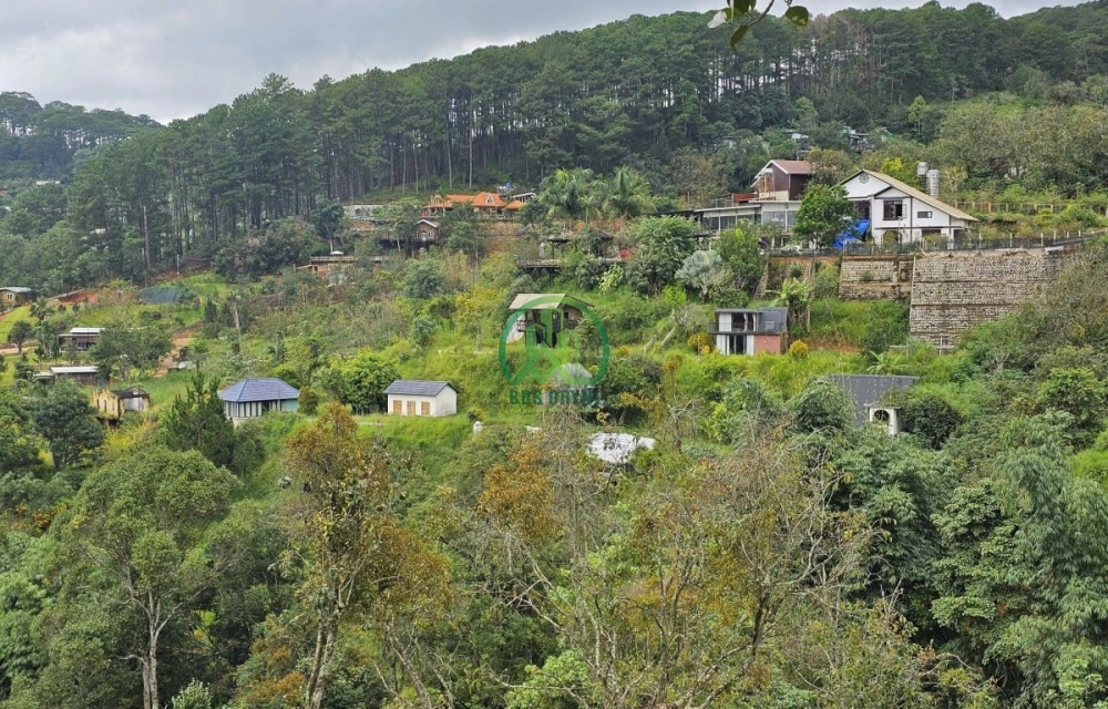 🌤 CẦN BÁN ĐẤT ĐÈO MIMOSA, P. XUÂN HƯƠNG - ĐÀ LẠT