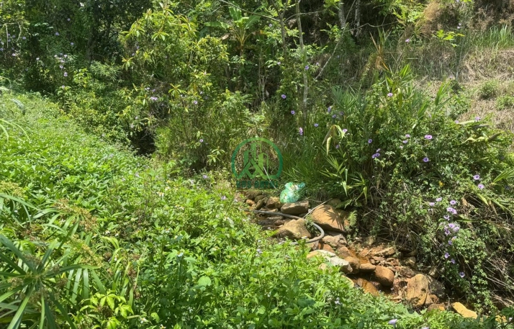  CẦN BÁN ĐẤT ĐƯỜNG HÙNG VƯƠNG, P. XUÂN TRƯỜNG - ĐÀ LẠT