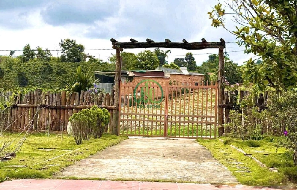🌟 CẦN BÁN NHÀ ĐẤT TẠI LÂM HÀ - LÂM ĐỒNG 💥