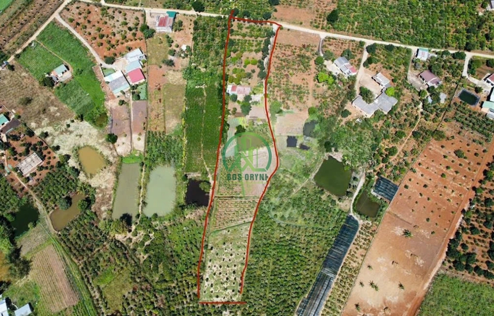 🌟 CẦN BÁN ĐẤT ĐÔNG THANH, NAM BAN - LÂM HÀ