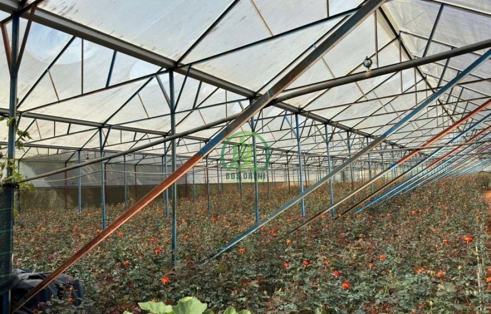 🌤 CẦN BÁN LÔ ĐẤT LẠC DƯƠNG, P.LANGBIANG - ĐÀ LẠT