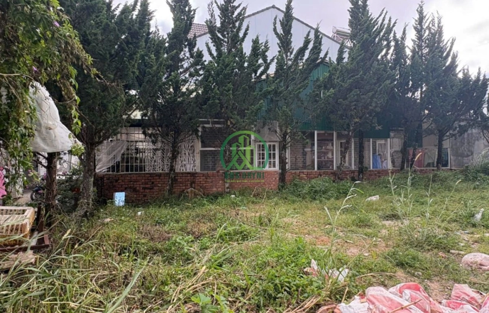 ✨ CẦN BÁN ĐẤT PHÙ ĐỔNG THIÊN VƯƠNG, P. LÂM VIÊN - ĐÀ LẠT