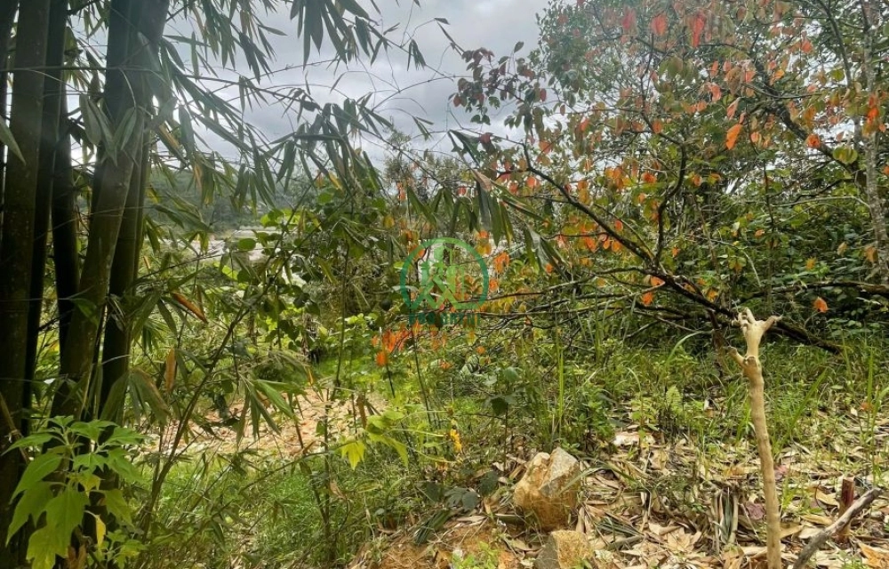 🌟 CẦN BÁN LÔ ĐẤT AN SƠN - P. XUÂN HƯƠNG - ĐÀ LẠT (P4 cũ)