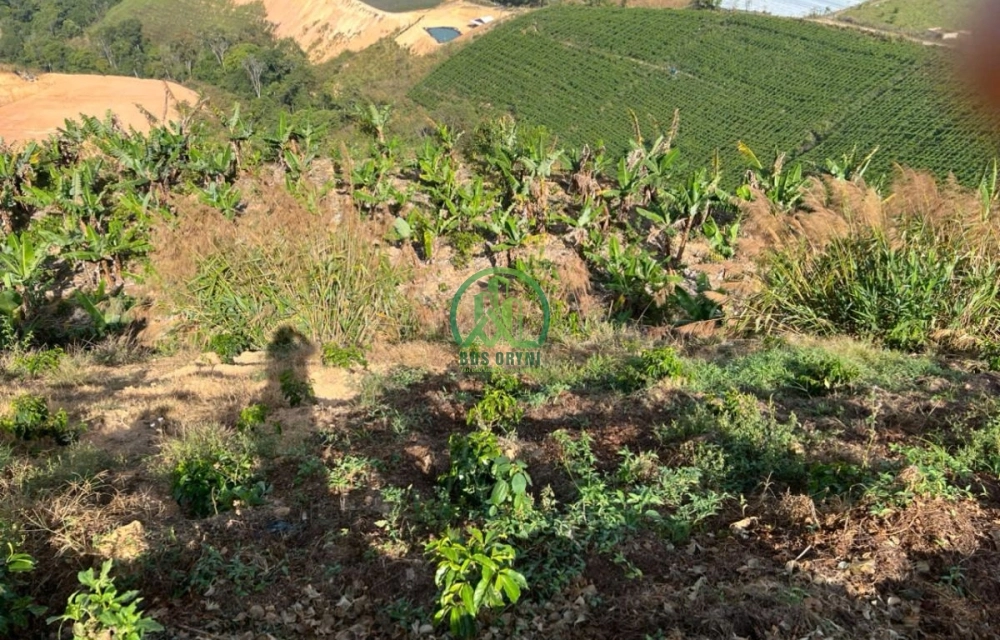 ✨ CẦN BÁN ĐẤT XÃ LÁT, LẠC DƯƠNG,P. LANGBIANG - ĐÀ LẠT