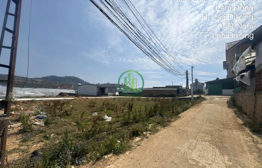🏡 CẦN BÁN ĐẤT MẶT TIỀN – TRUNG TÂM THỊ TRẤN LẠC DƯƠNG, P.LANGBIANG – ĐÀ LẠT