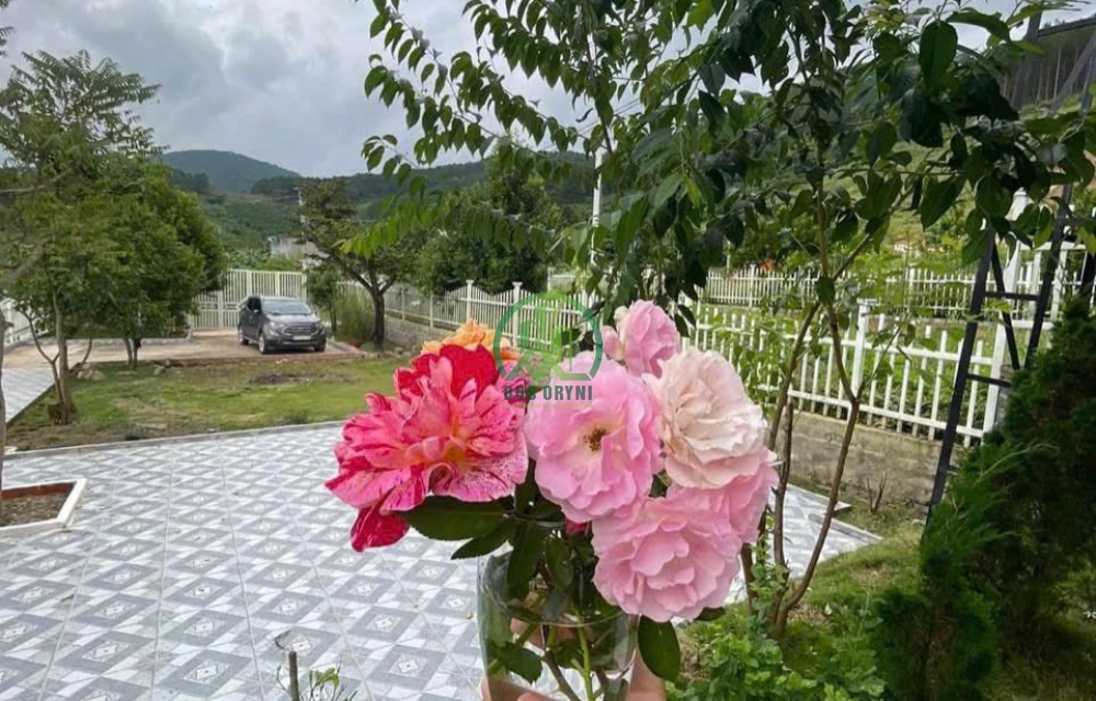 CẦN BÁN NHÀ VIEW ĐẸP TẠI LÂM HÀ - LÂM ĐỒNG