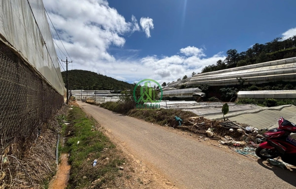 🌤 CẦN BÁN ĐẤT 2 MẶT TIỀN THÁI PHIÊN, P. LÂM VIÊN - ĐÀ LẠT