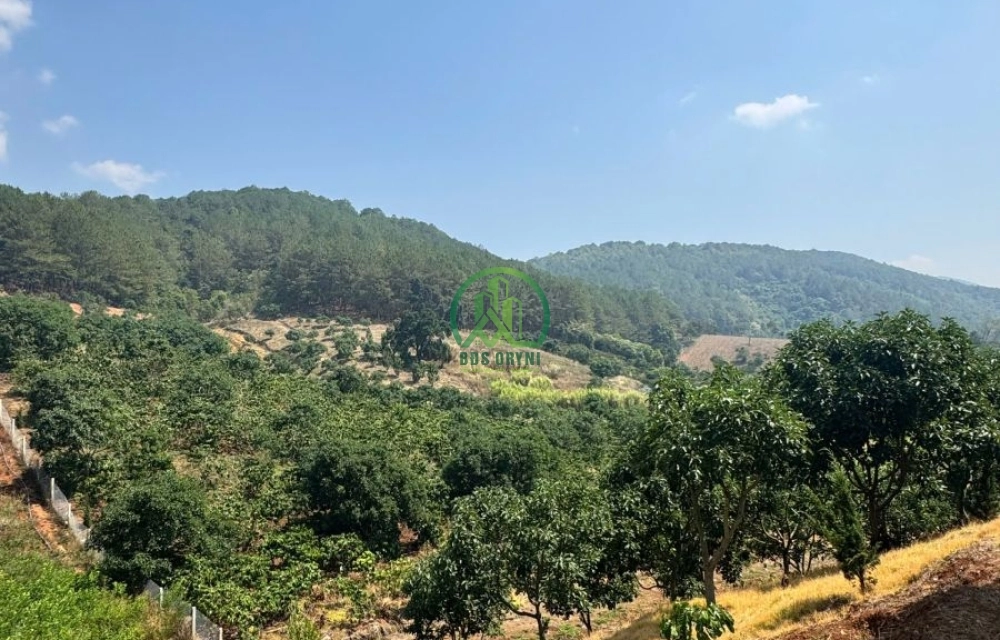 ✨ CẦN BÁN 3800 M2 ĐẤT TẠI MÊ LINH, LÂM HÀ