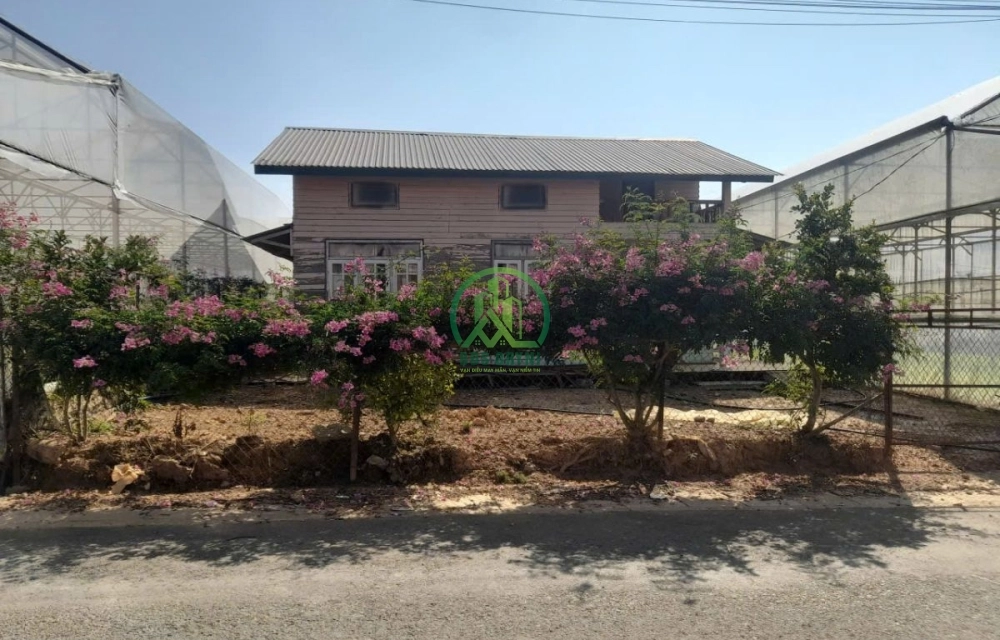 🌤 CẦN BÁN 4500m2 ĐẤT MẶT TIỀN XÃ LÁT - LẠC DƯƠNG