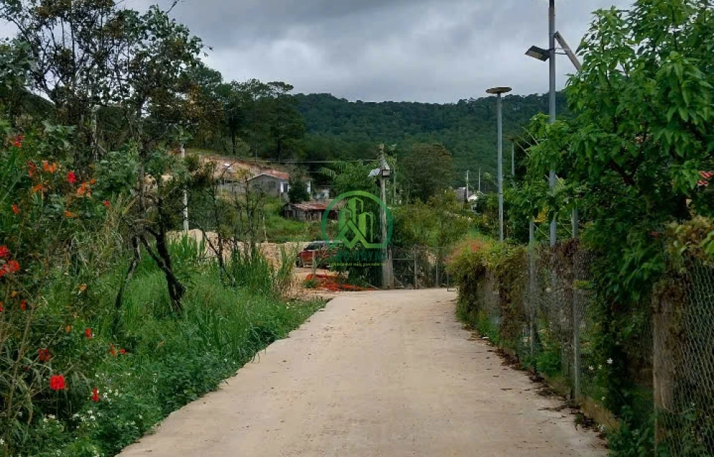 🌟 CẦN BÁN ĐẤT 2 MẶT TIỀN TẠI HIỆP AN - ĐỨC TRỌNG