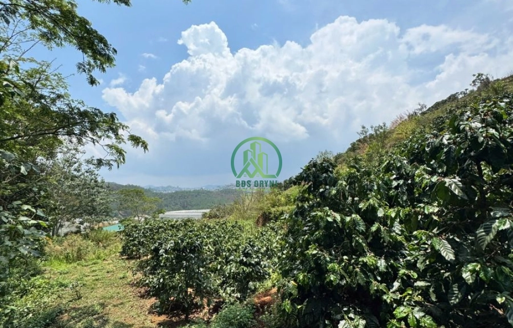  CẦN BÁN ĐẤT ĐƯỜNG HÙNG VƯƠNG, P. XUÂN TRƯỜNG - ĐÀ LẠT