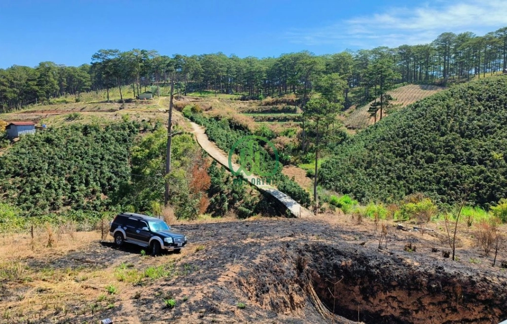 🌟 CẦN BÁN NHÀ ĐẤT XUÂN THỌ, P. XUÂN TRƯỜNG - ĐÀ LẠT