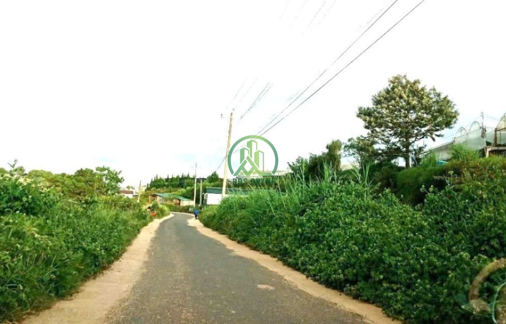 🌤 CẦN BÁN ĐẤT ĐẸP TẠI XUÂN THỌ, P. XUÂN TRƯỜNG - ĐÀ LẠT