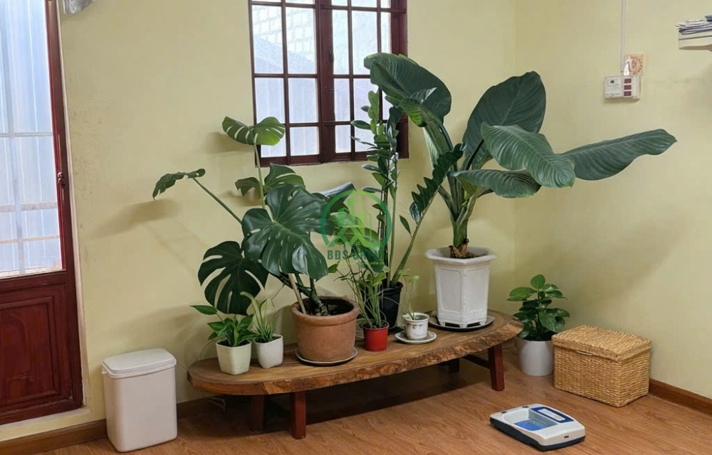 🏡 CẦN BÁN NHÀ ĐẸP ĐƯỜNG ĐÀO DUY TỪ, P. XUÂN HƯƠNG - ĐÀ LẠT