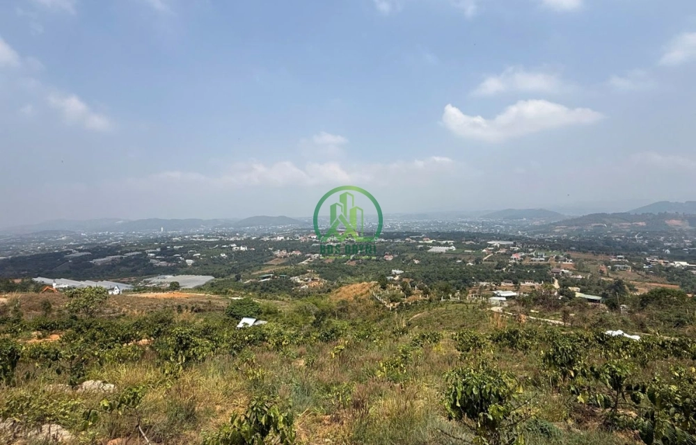 💥 CẦN BÁN 4 SÀO ĐẤT TẠI ĐÔNG THANH, NAM BAN - LÂM HÀ