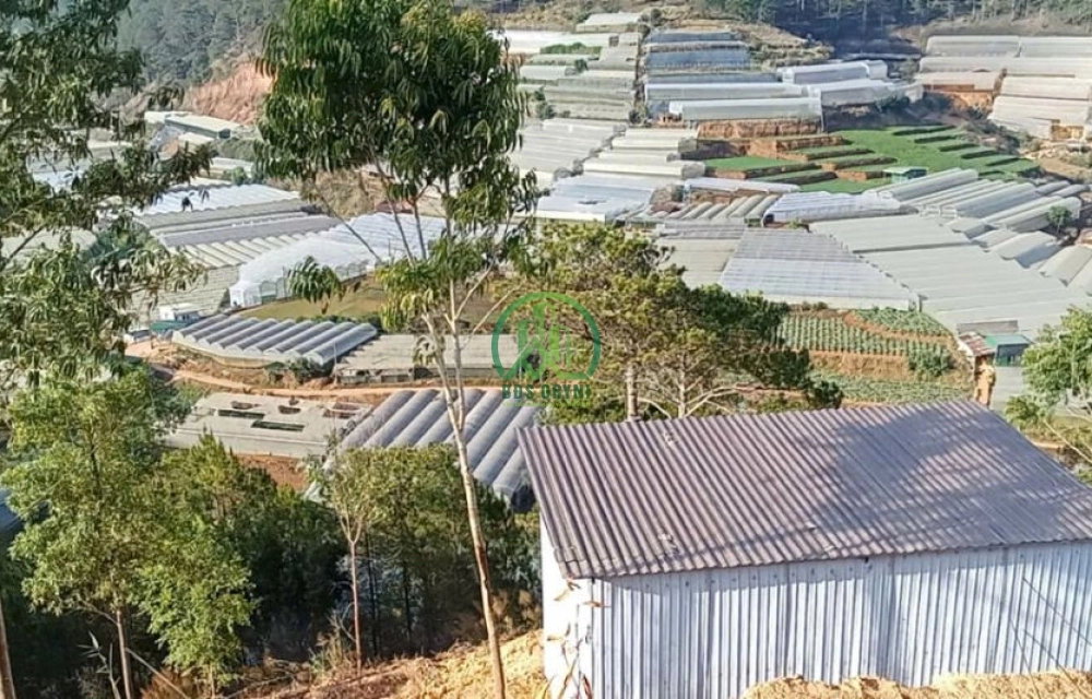 🌤 CẦN BÁN LÔ ĐẤT TẠI XUÂN THỌ, P. XUÂN TRƯỜNG - ĐÀ LẠT