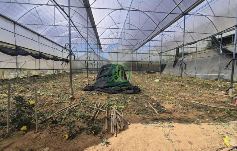 🌤 CẦN BÁN ĐẤT 2 MẶT TIỀN THÁI PHIÊN, P. LÂM VIÊN - ĐÀ LẠT