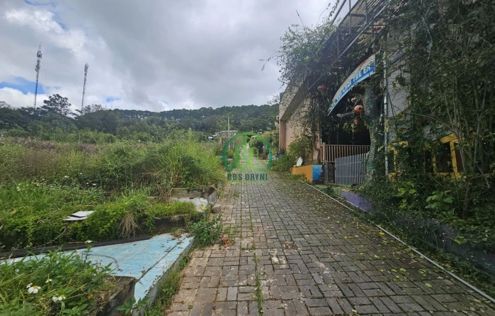 🌤 CẦN BÁN ĐẤT ĐÈO MIMOSA, P. XUÂN HƯƠNG - ĐÀ LẠT