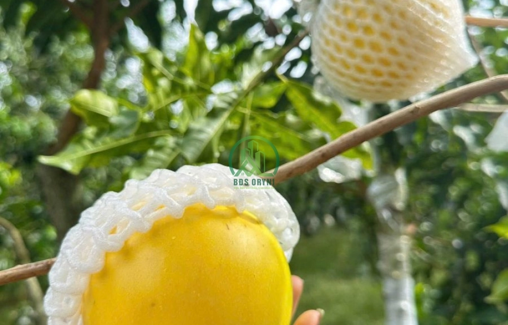 💥 CẦN BÁN ĐẤT BẰNG PHẲNG TẠI MÊ LINH - LÂM HÀ