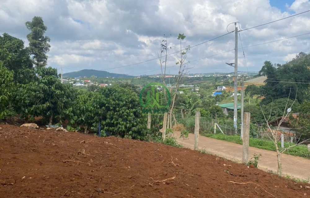 🌟 CẦN BÁN LÔ ĐẤT VIEW SIÊU ĐẸP TẠI NAM BAN - LÂM HÀ