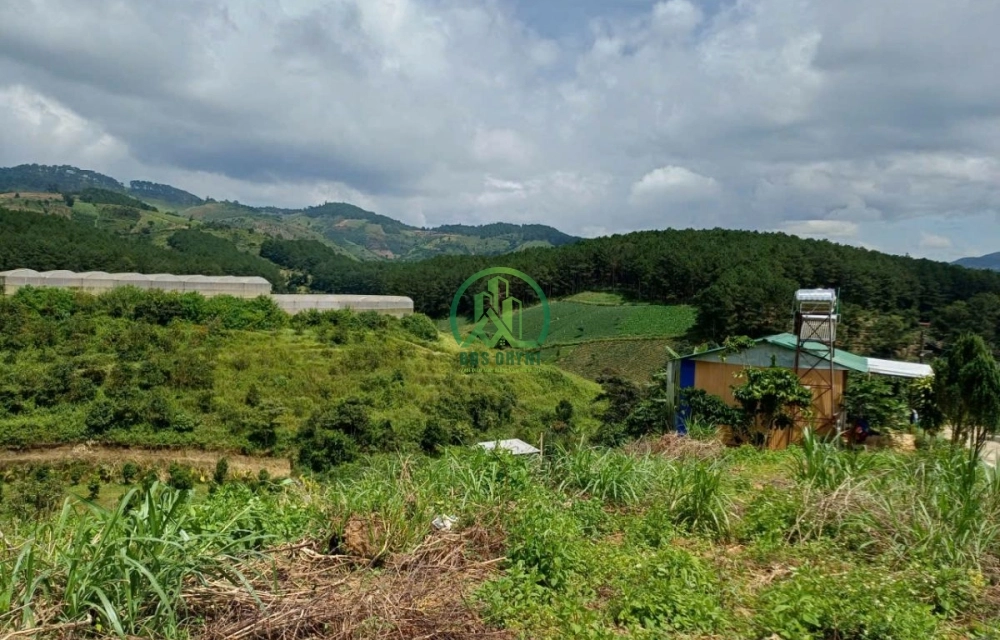 💥 CẦN BÁN ĐẤT ĐẸP TÀ NUNG, P. CAM LY - ĐÀ LẠT