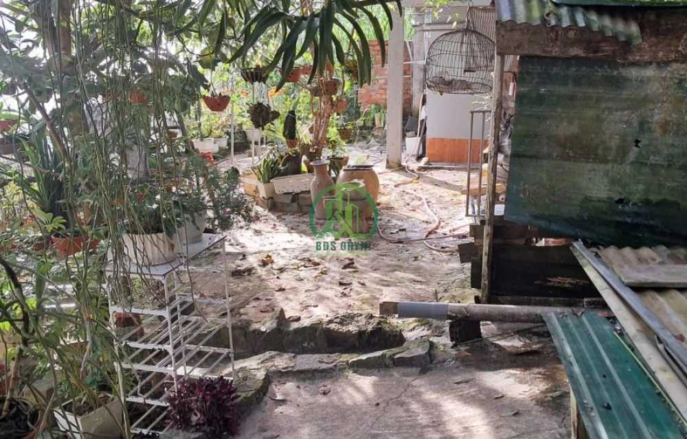 🏡 CẦN BÁN NHÀ ĐẤT ĐƯỜNG CAO THẮNG - PHƯỜNG LANGBIANG - ĐÀ LẠT (P7 cũ)