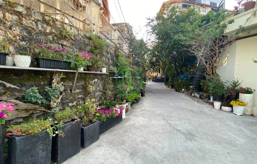 🌟 CẦN BÁN ĐẤT ĐƯỜNG PASTEUR, P. XUÂN HƯƠNG - ĐÀ LẠT