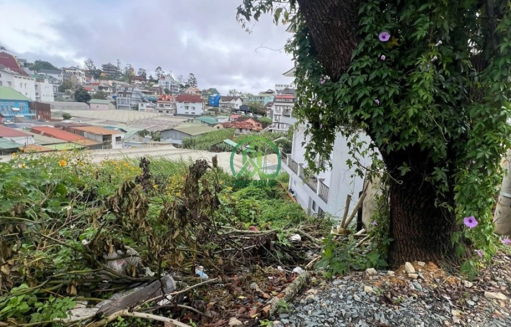 🌤 CẦN BÁN LÔ ĐẤT NÔNG NGHIỆP TRẦN KHÁNH DƯ - P. LÂM VIÊN - ĐÀ LẠT (P8 cũ)