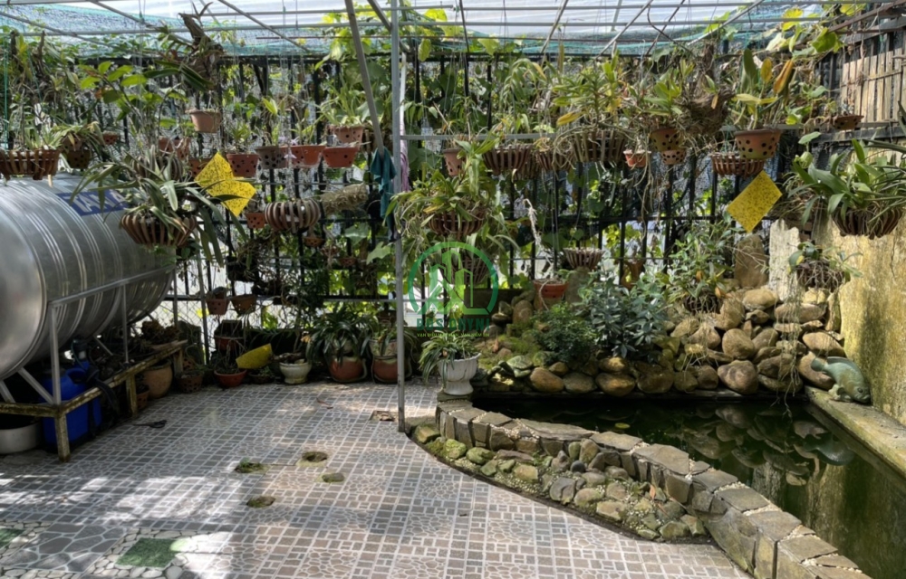 BÁN NHÀ ĐỒI THÔNG TIN VIEW ĐẸP P8