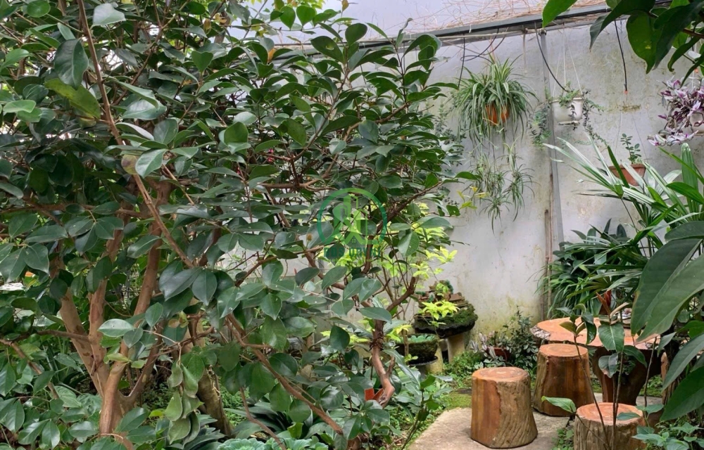 CẦN BÁN LÔ ĐẤT NGAY TRUNG TÂM ĐƯỜNG HẺM NGUYỄN VĂN TRỖI- P2- TP.ĐÀ LẠT.