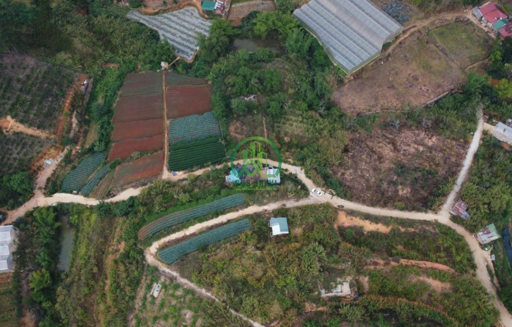 CẦN CHO THUÊ LÔ ĐẤT VIEW ĐẸP ĐƯỜNG TRẦN THÁI TÔNG - P11 - ĐÀ LẠT